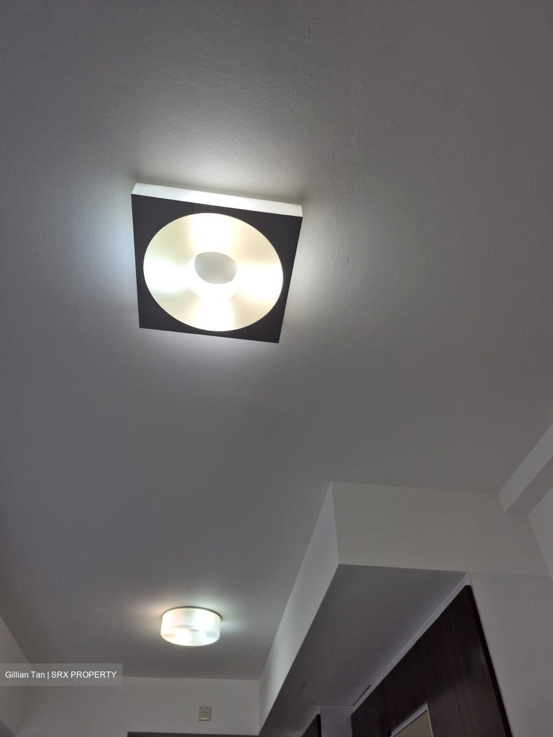 Loft @ Nathan (D10), Apartment #482115721